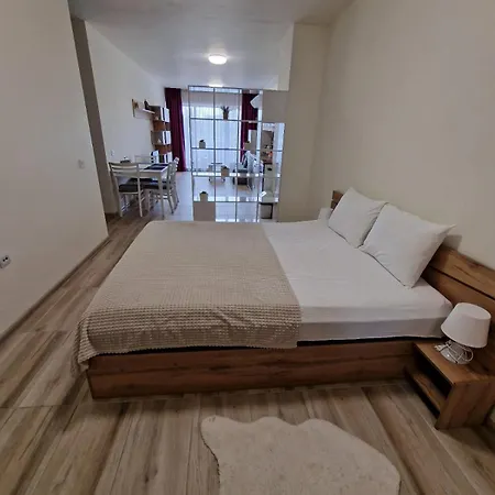 Rent 30 아파트 *
